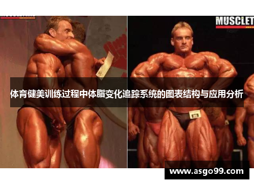 体育健美训练过程中体脂变化追踪系统的图表结构与应用分析